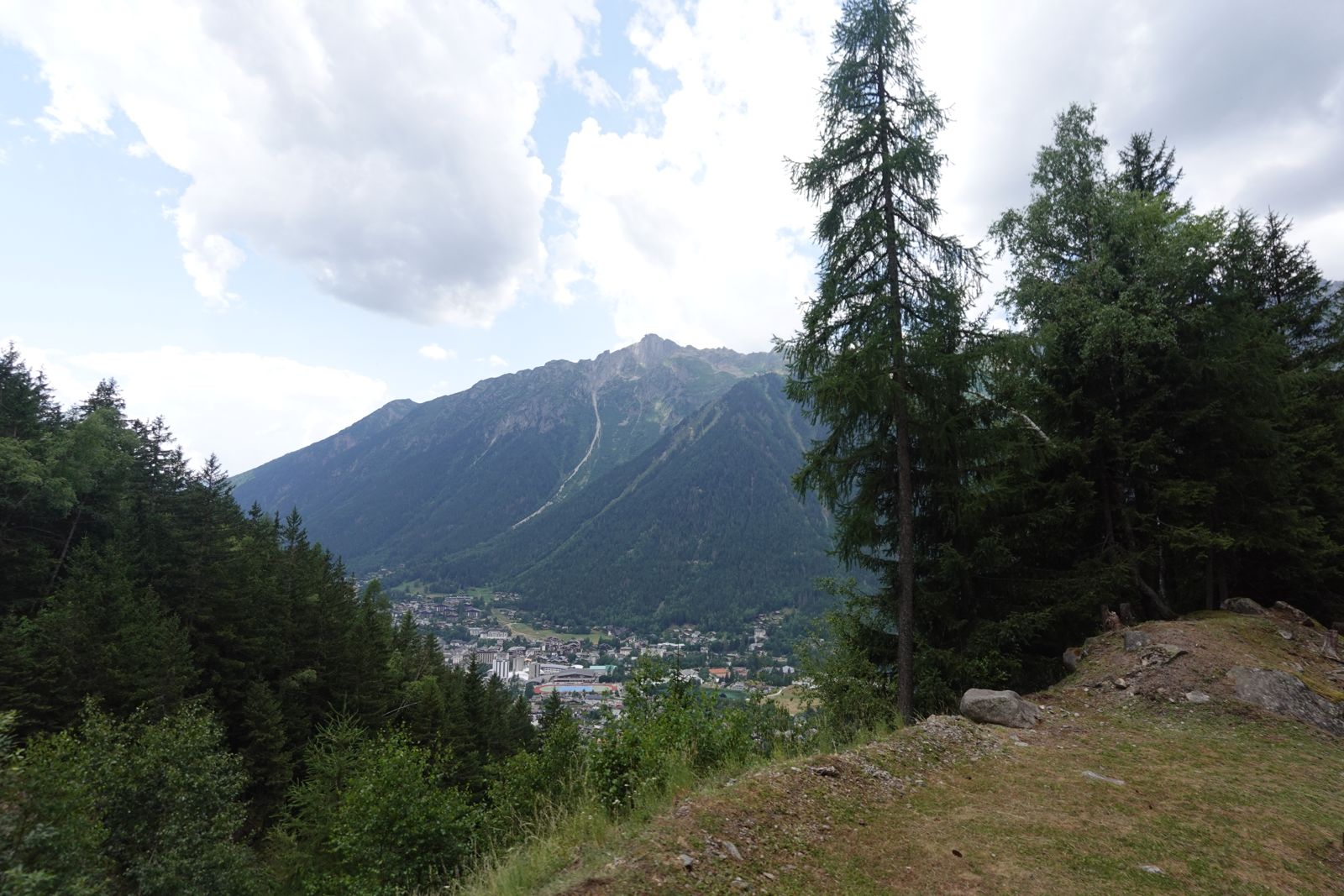 Pine slopes falling away to a mountain town